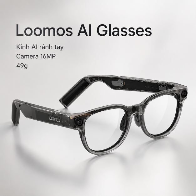 Loomos AI Glasses