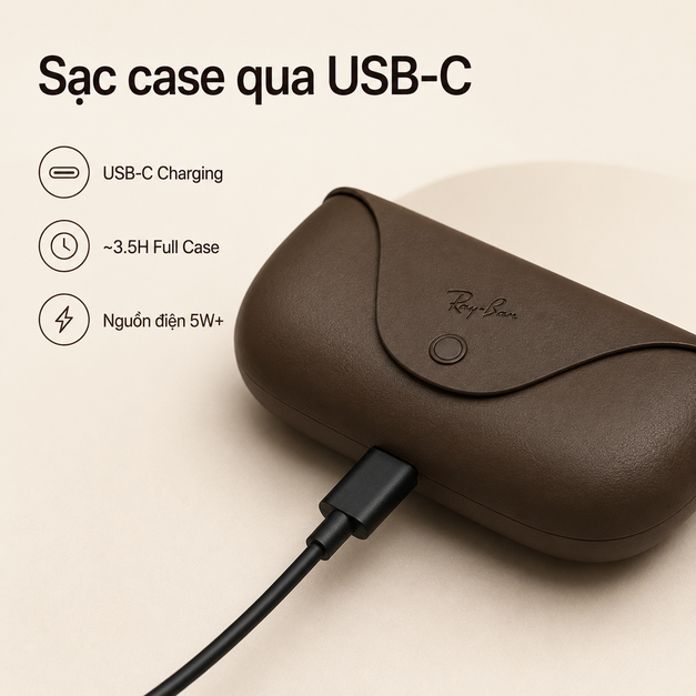 Ray-Ban Meta Charging Case - Dark Brown
